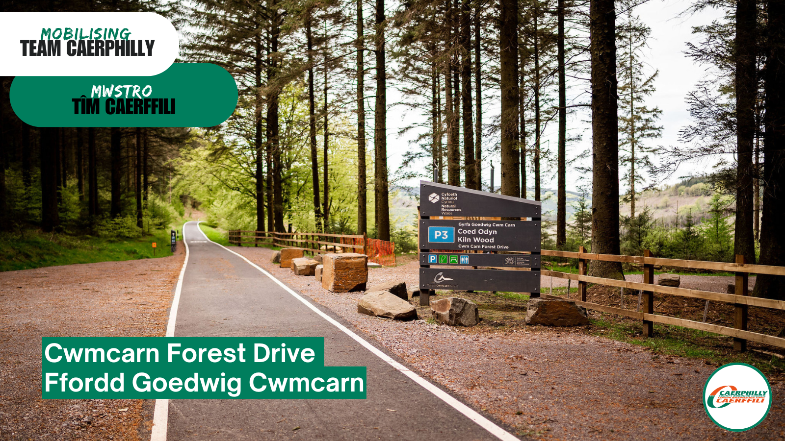 Share your thoughts on the future of Cwmcarn Forest Drive